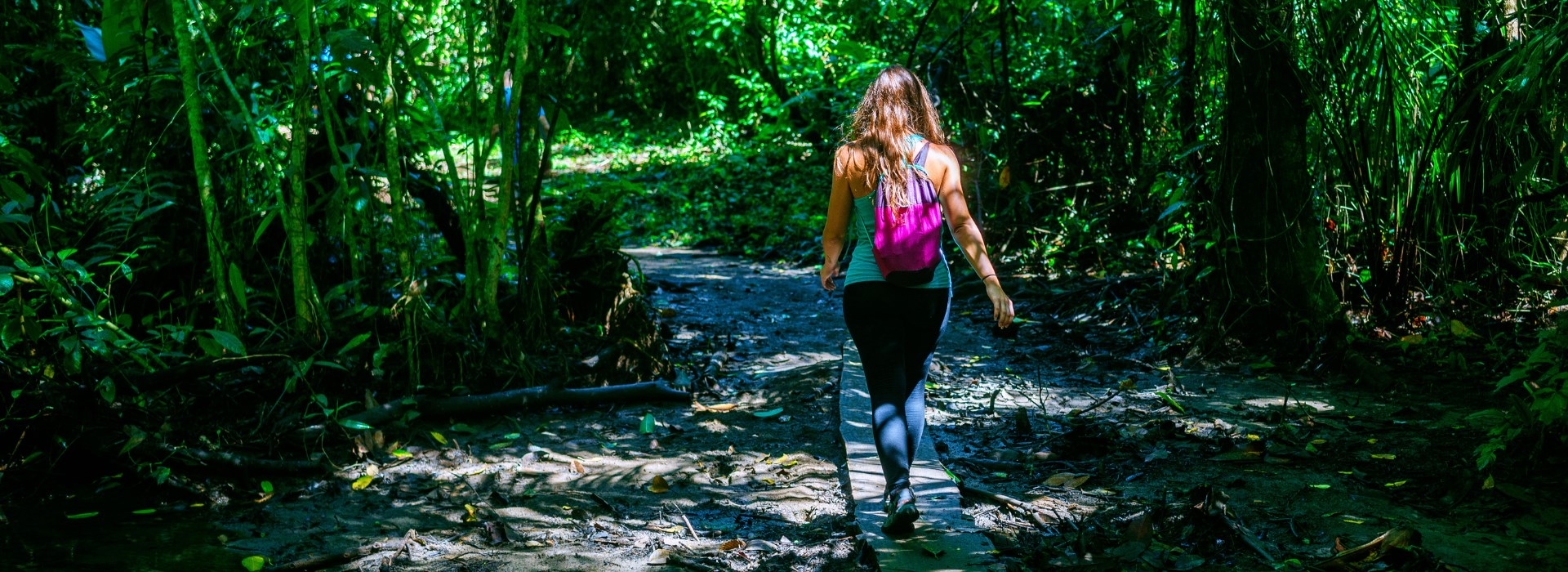 les plus beaux parcs du costa rica