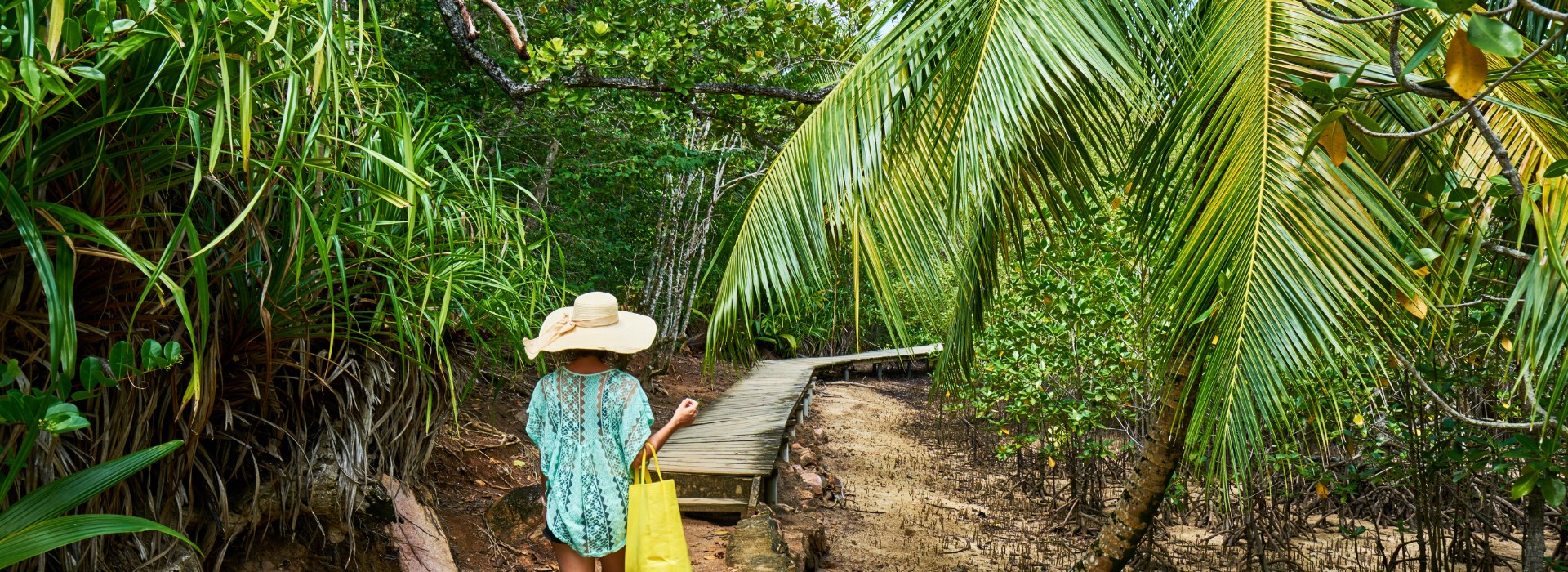 Combiné aux Seychelles