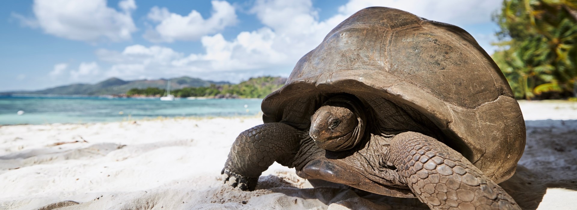 voyage avec des enfants aux Seychelles