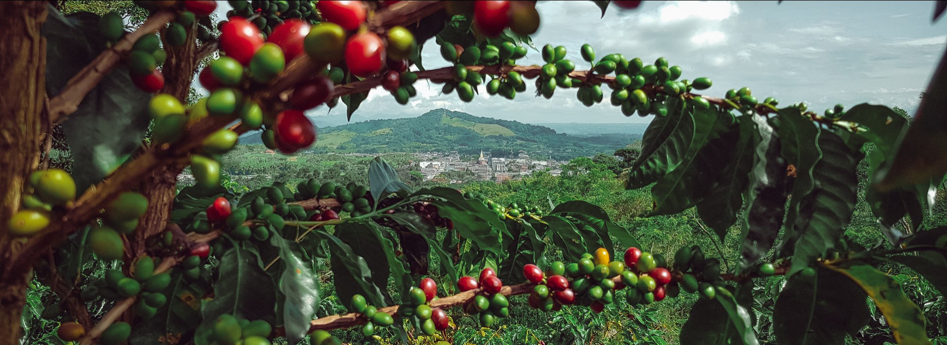 voyage de trois semaines en Colombie