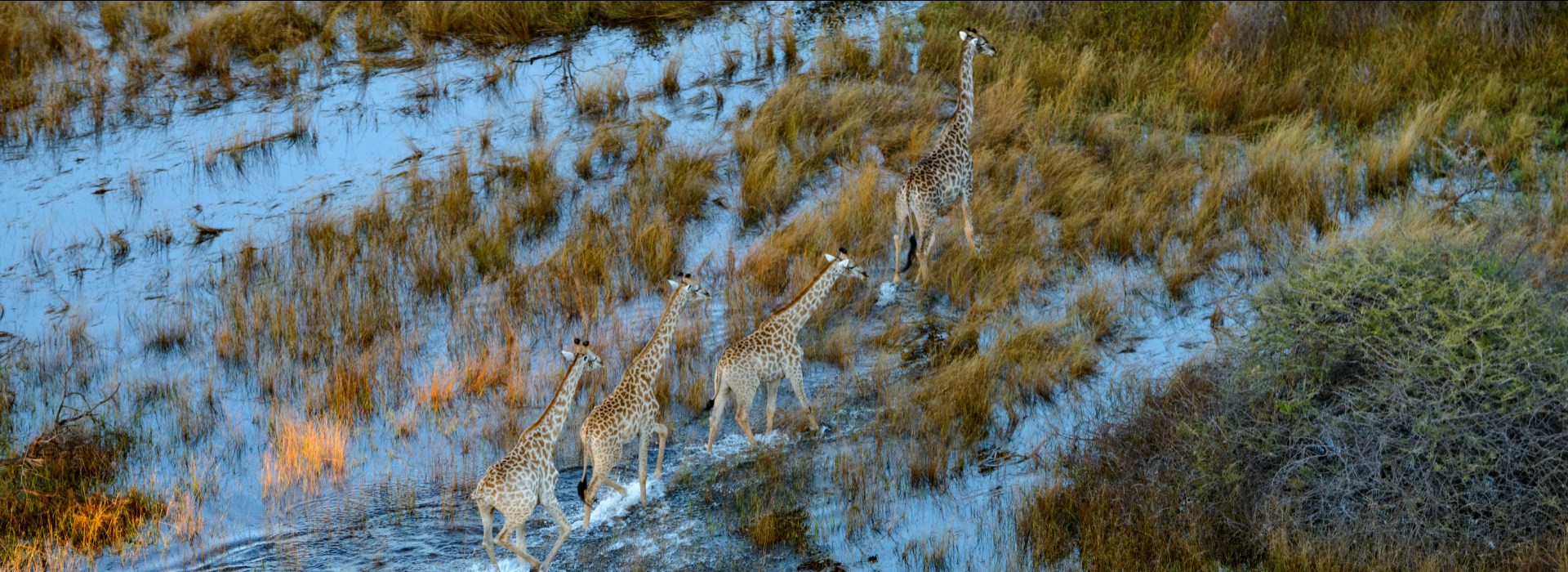 voyage entre solo Namibie-Botswana-Zambie