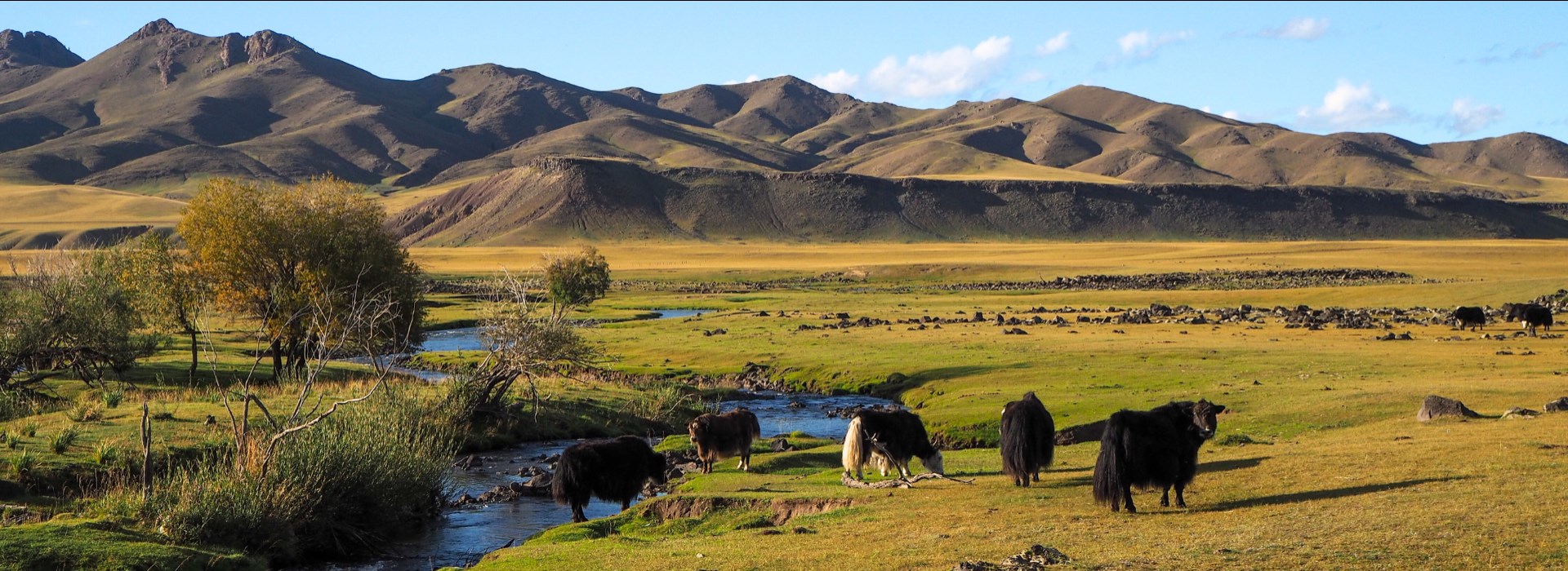 circuit mongolie entre solos