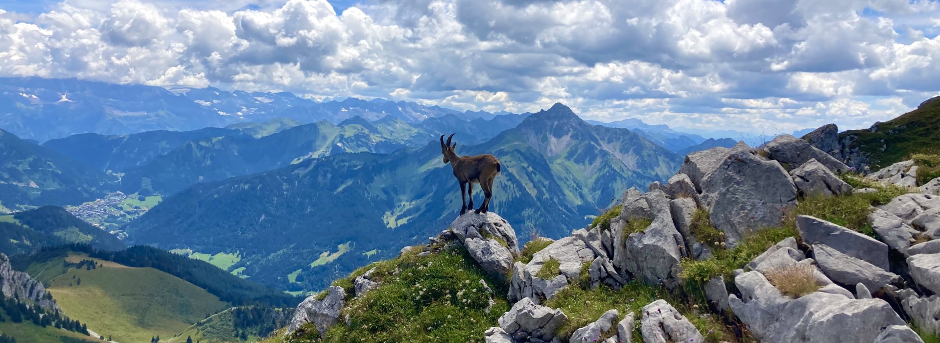 hotel club en famille