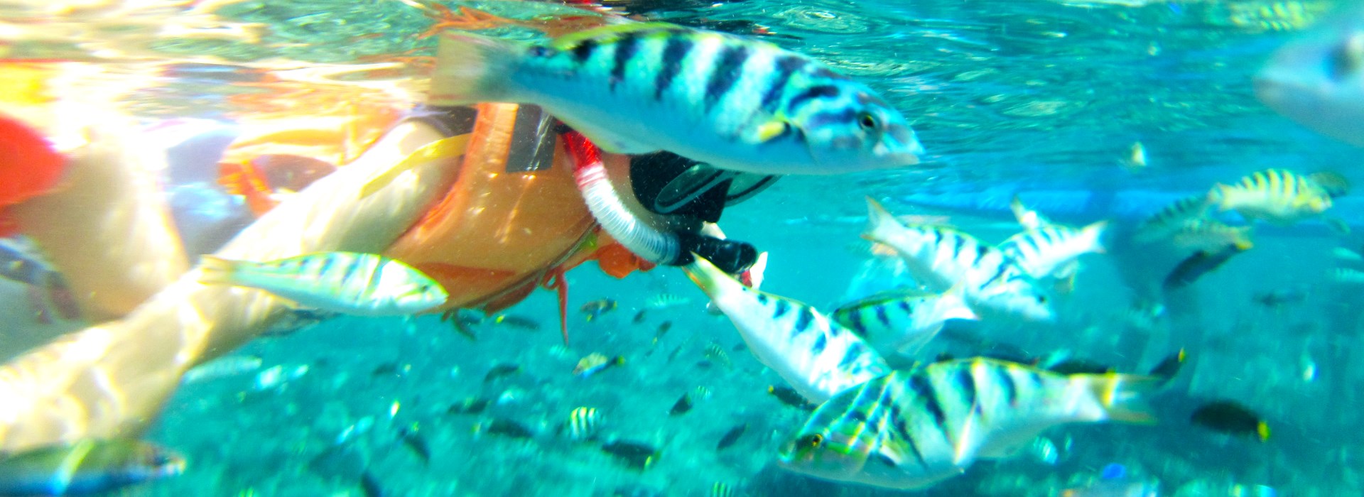 voyage philippines visayas