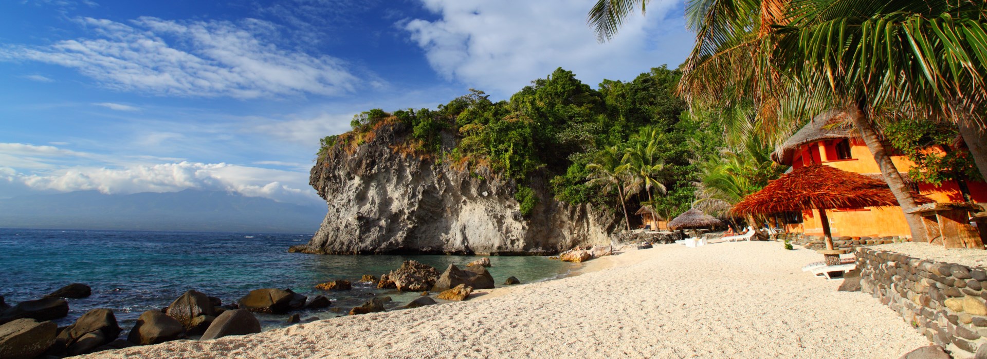 Apo island snorkeling