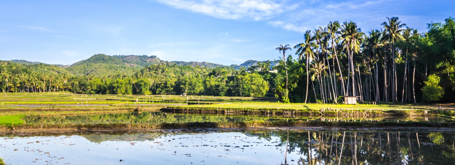 partir Siquijor philippines