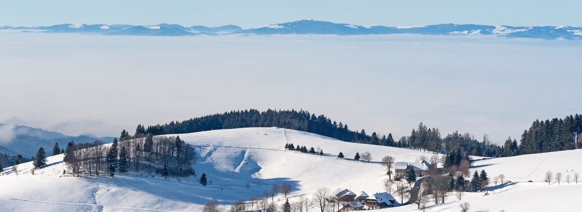 voyage en famille en Alsace