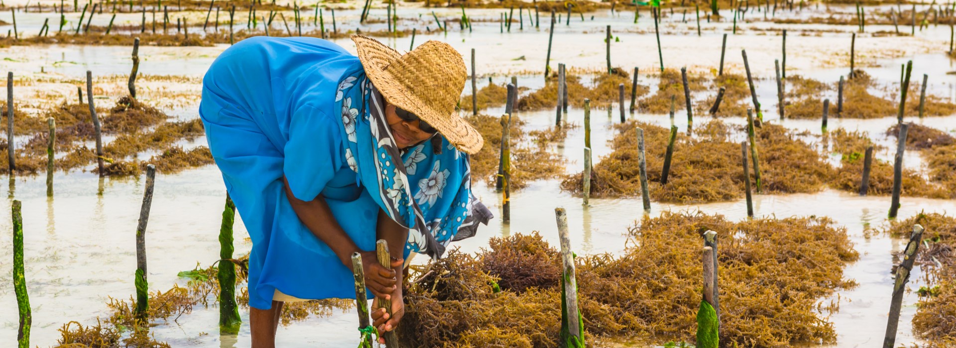 Zanzibar entre adultes