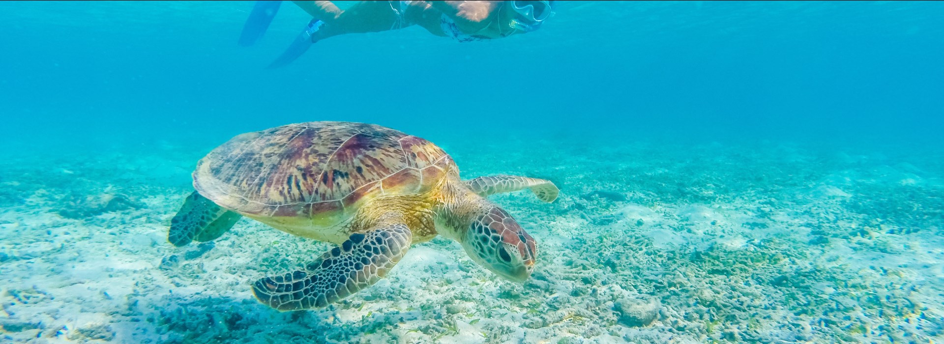voyage à Zanzibar avec des ados