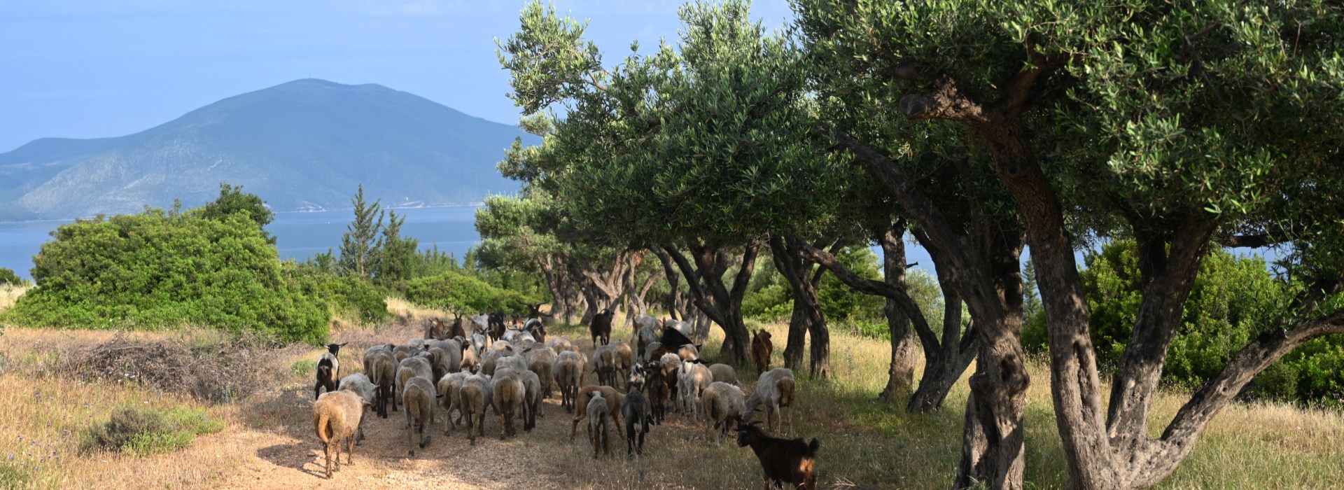 Albanie hors des sentiers battus