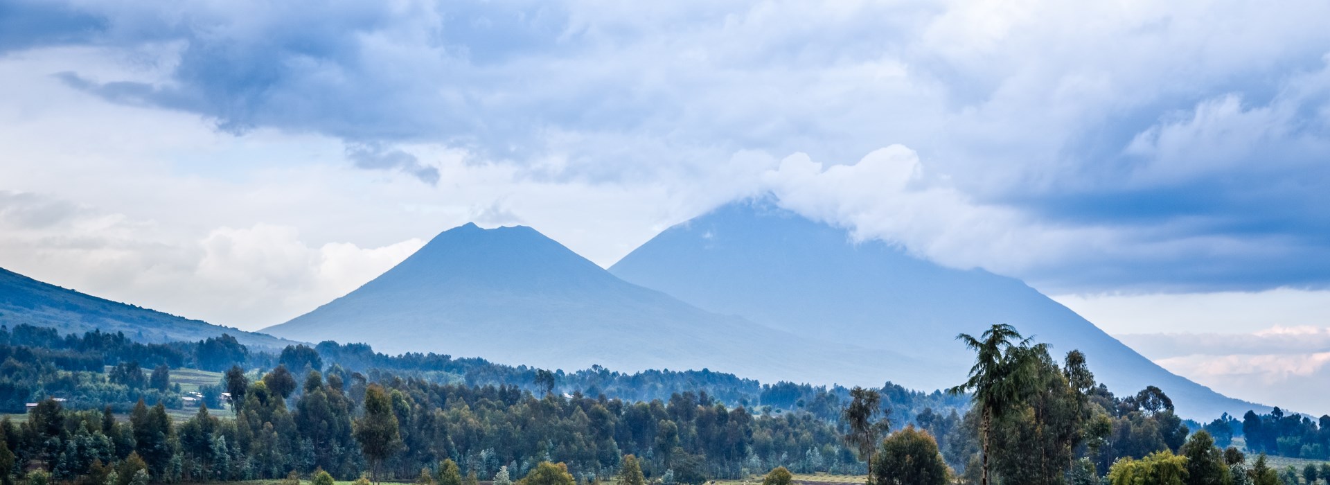 Le Parc National de Mgahinga
