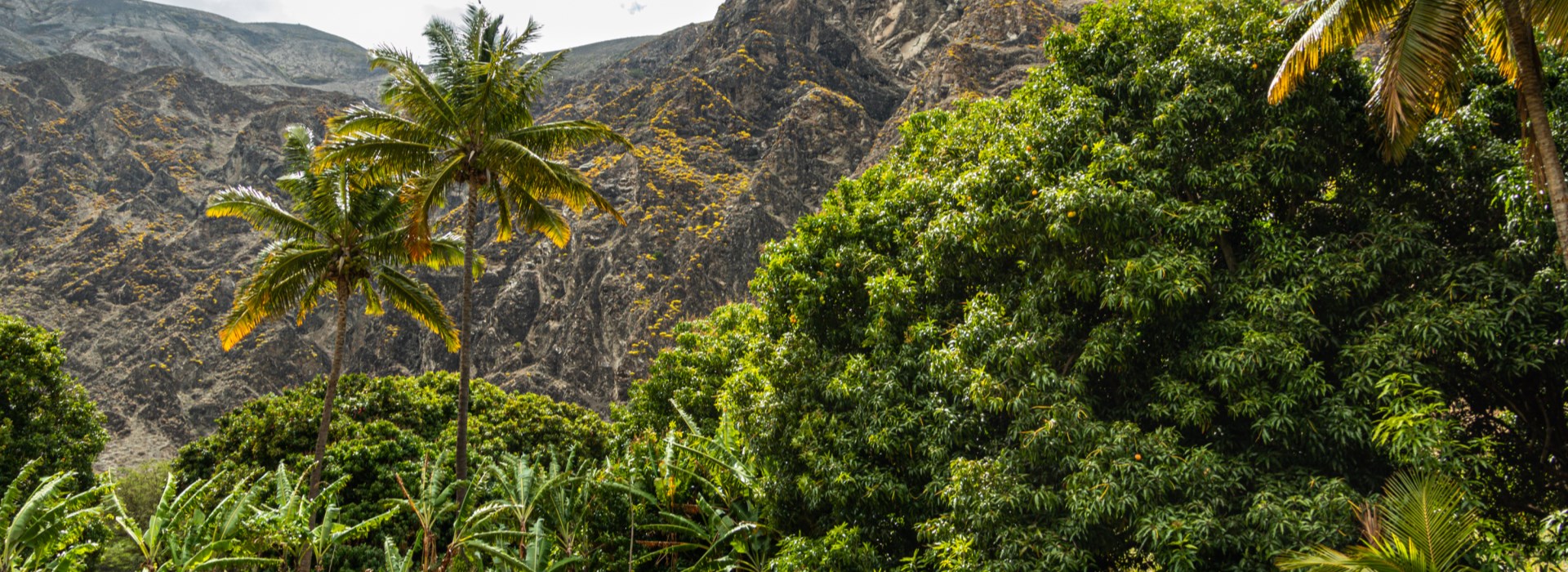 Le Parc Naturel De Rui Vaz