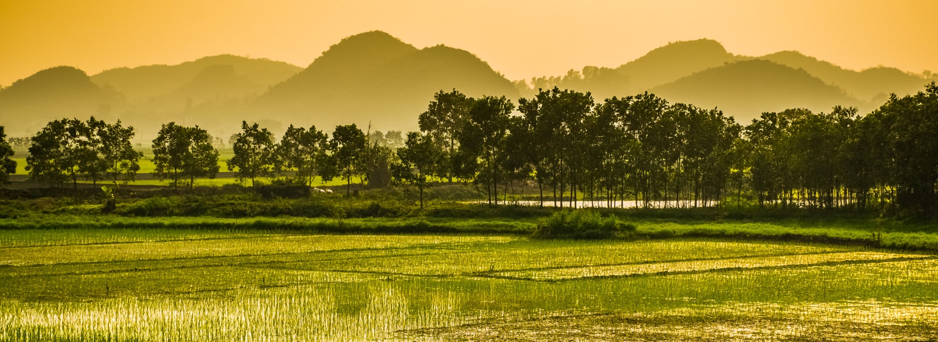 Voyage Vietnam en Famille - Le Vietnam à la carte