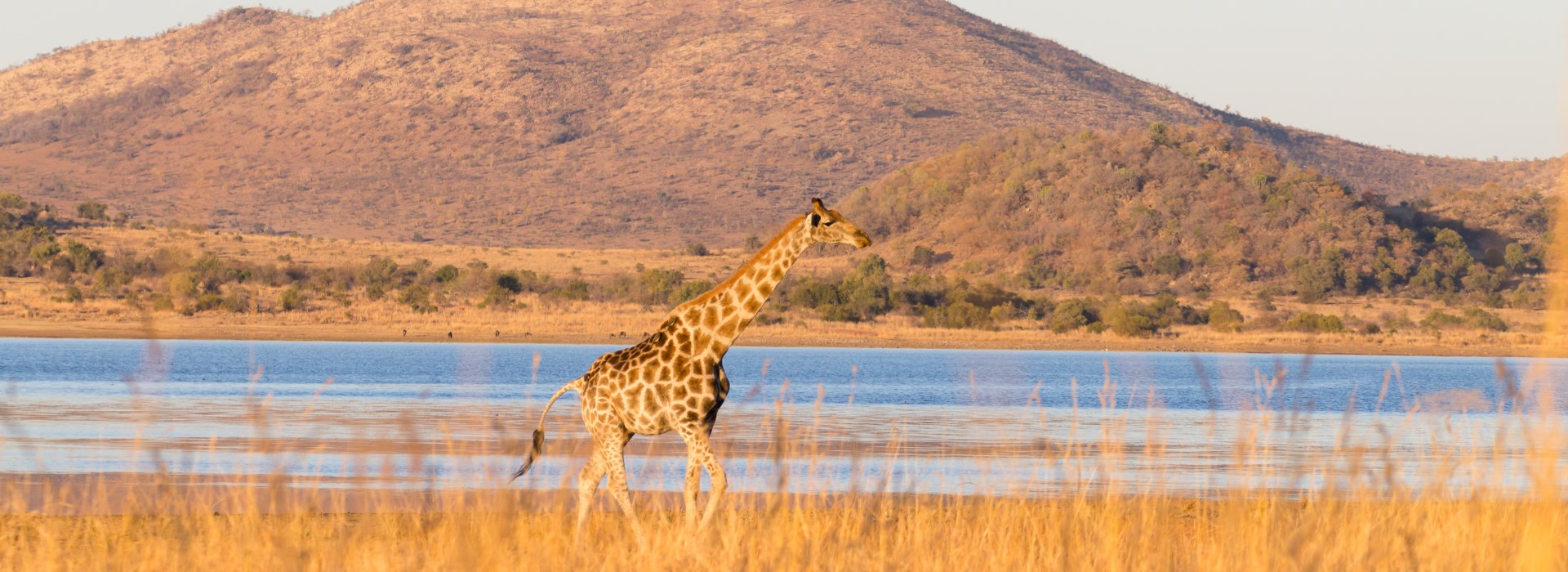 voyage en famille en Afrique du Sud