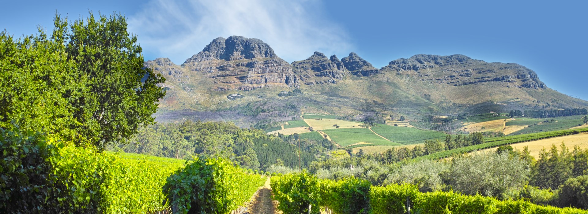 Cape town