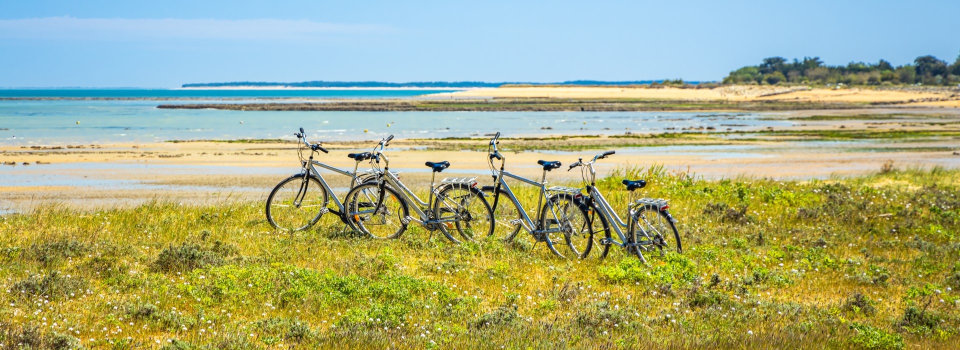 séjour en famille Charente Maritime