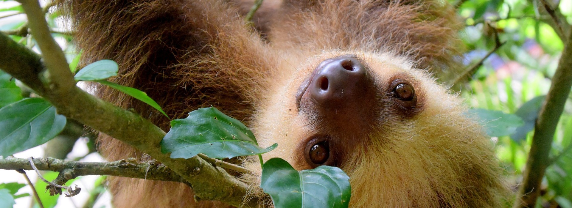 Autotour en famille au Costa Rica