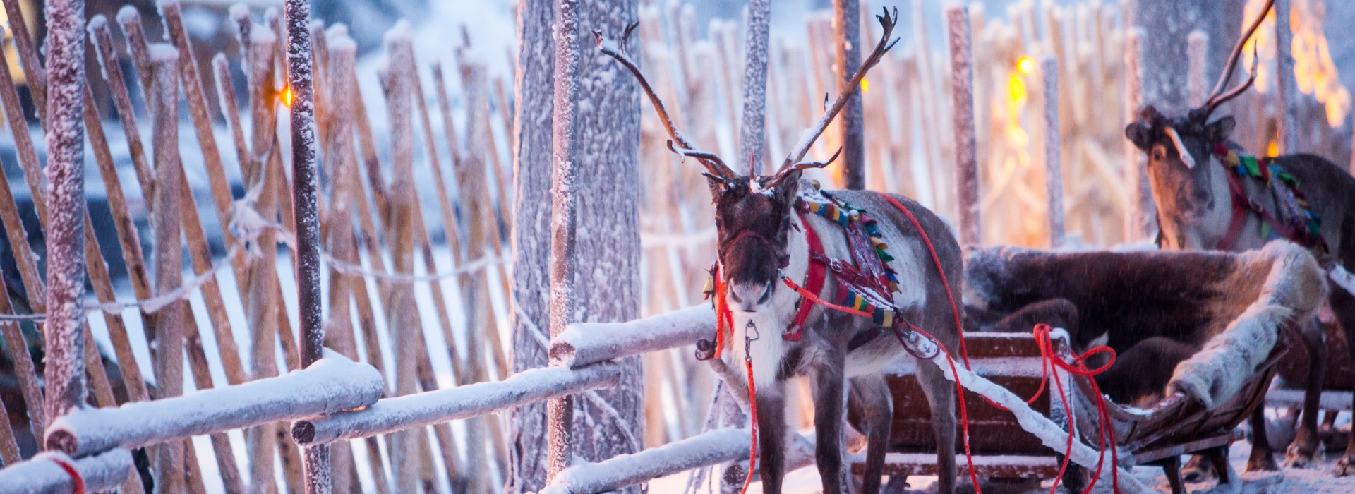 voyage Père Noël Finlande