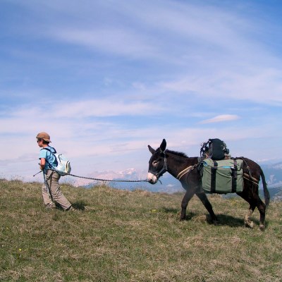 Circuit Rhône-Alpes Anes et petits nomades dans le Vercors