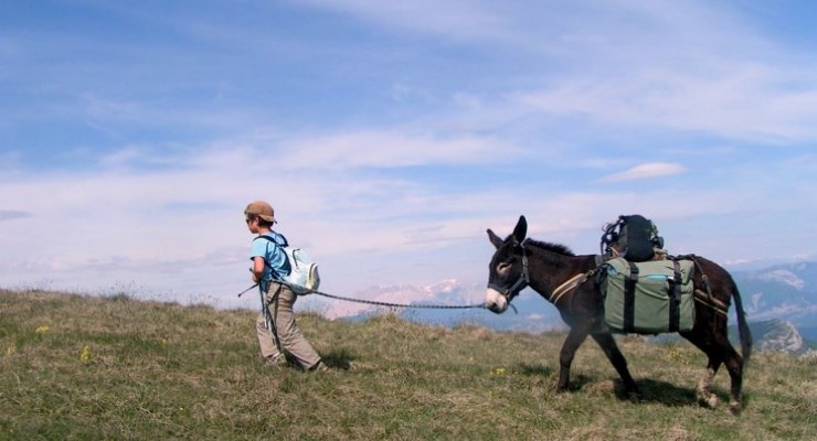 Circuit Rhône-Alpes Anes et petits nomades dans le Vercors