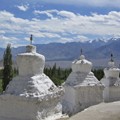 Circuit Inde Montagnes et monastères du Ladakh