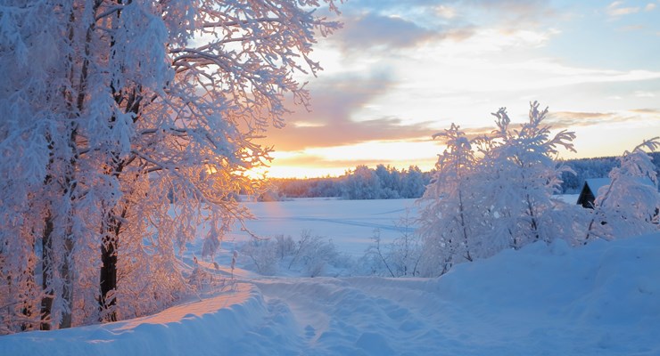 Circuit Laponie Réveillon arctique