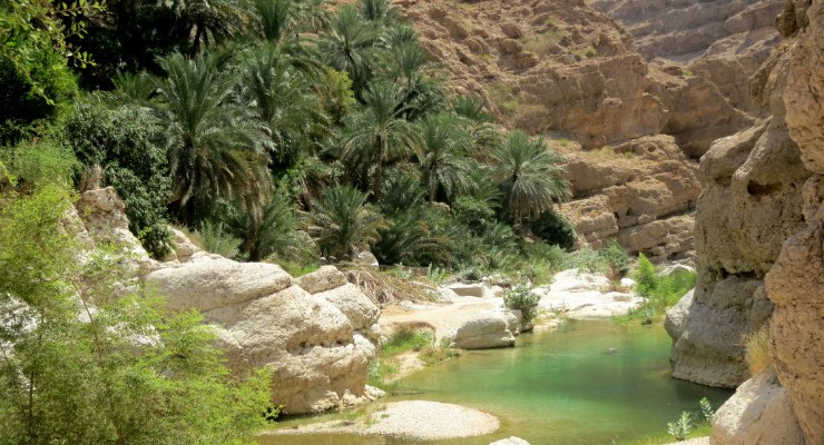 Circuit Oman Balade entre Canyons et Oasis!