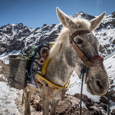 Circuit Maroc Ascension du Toubkal