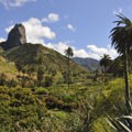 Circuit Canaries Volcan et forêts 