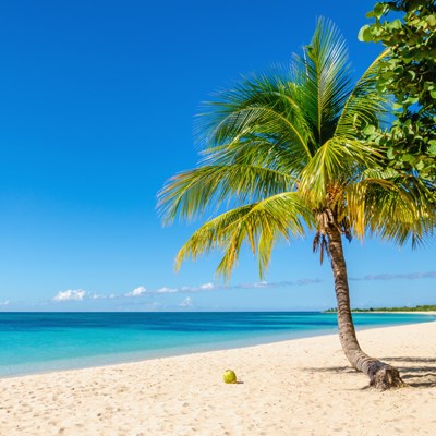 Circuit Guadeloupe Tous les chemins mènent au rhum