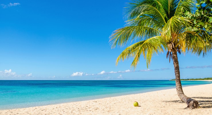 Circuit Guadeloupe Tous les chemins mènent au rhum