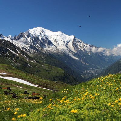 Circuit Rhône-Alpes Grand Tour du Mont Blanc