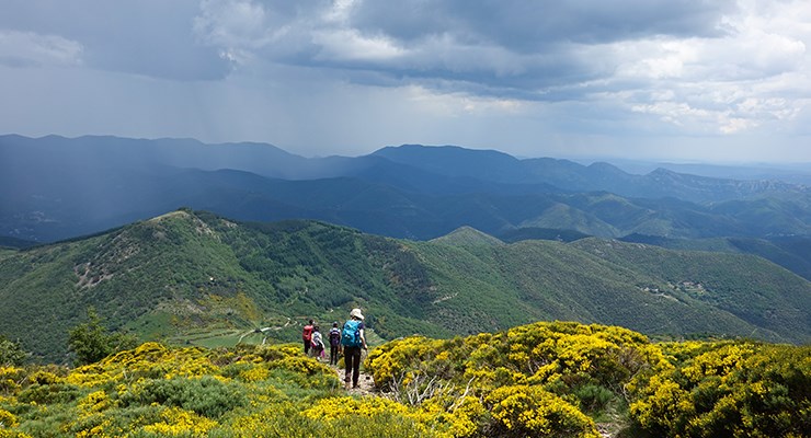 Circuit Occitanie T’as de la veine dans les Cévennes  