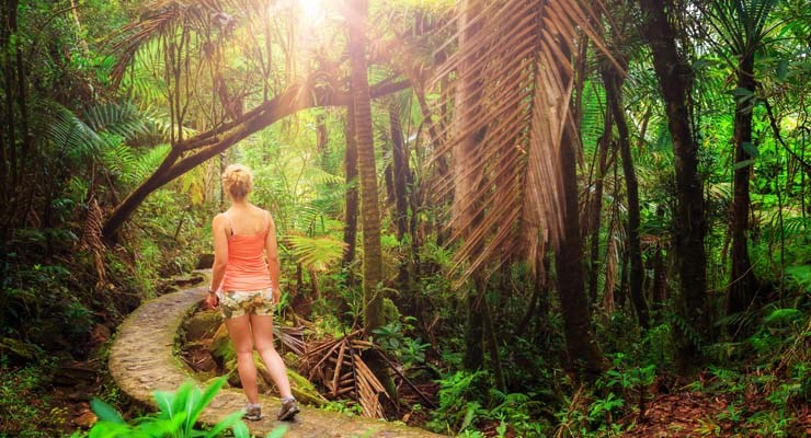 Circuit Guadeloupe Farandole créole