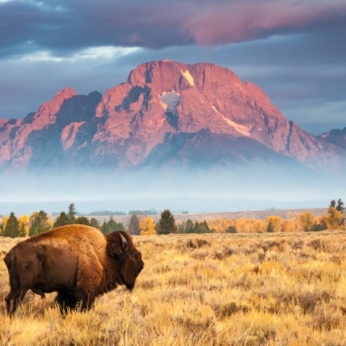 Circuit Etats-Unis Wild Wide West